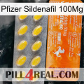 Pfizer Sildenafil 100Mg new05